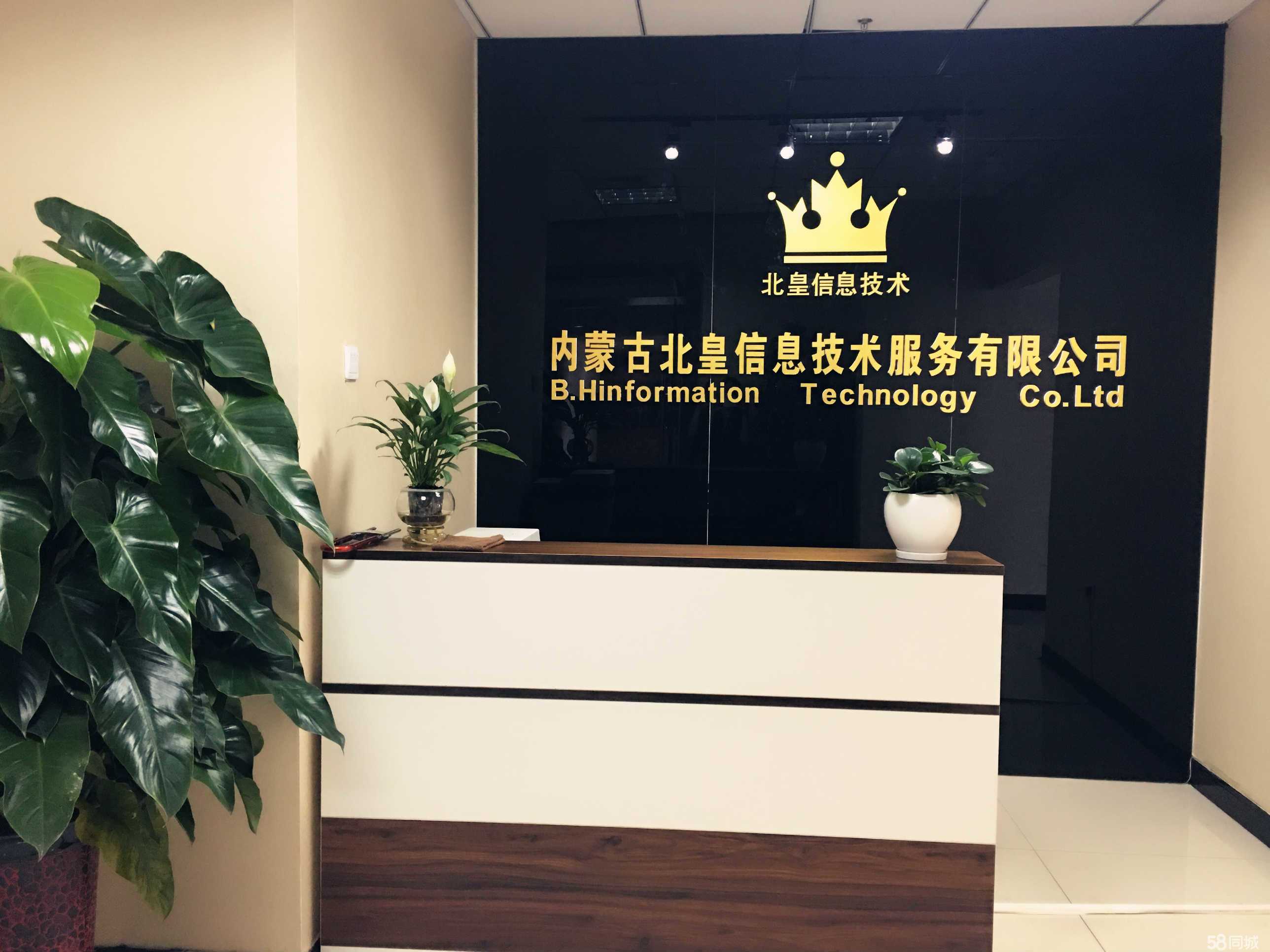 數(shù)字化轉(zhuǎn)型視域下內(nèi)外蒙信息技術(shù)服務(wù)賦能與模式創(chuàng)新探析